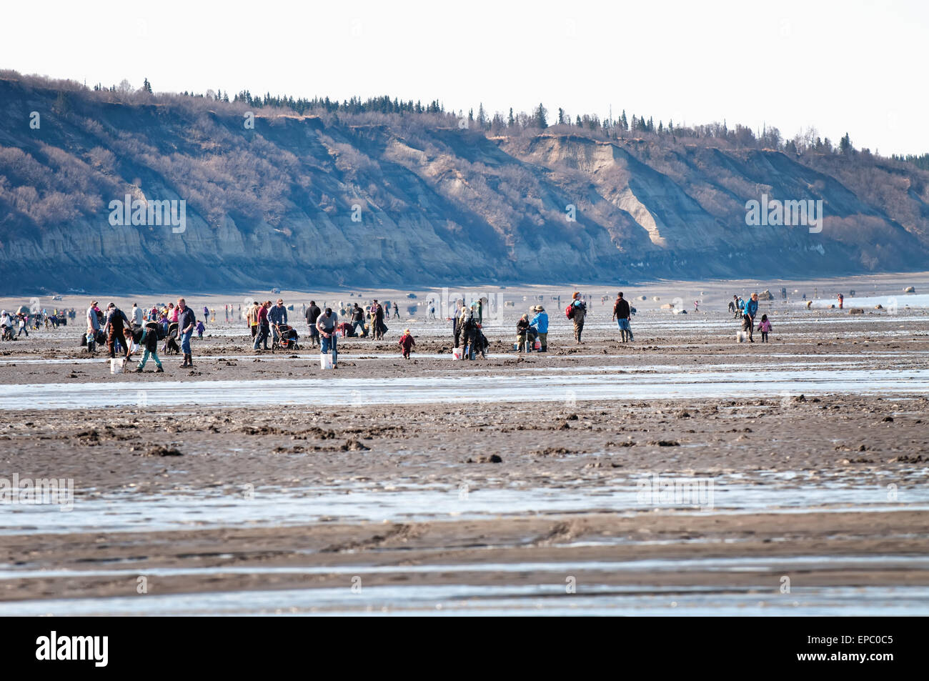 Clam best sale gulch alaska