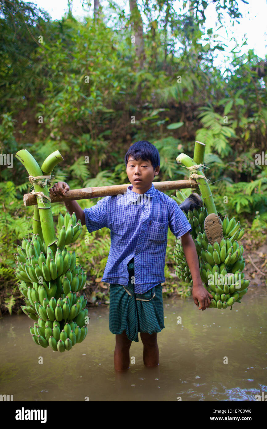 Portrait of Chakma boy carrying bananas; Khagrachari, Chittagong