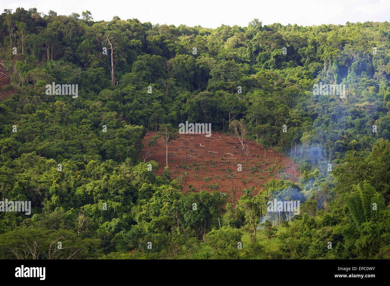 Deforestation; Mondulkiri, Cambodia Stock Photo