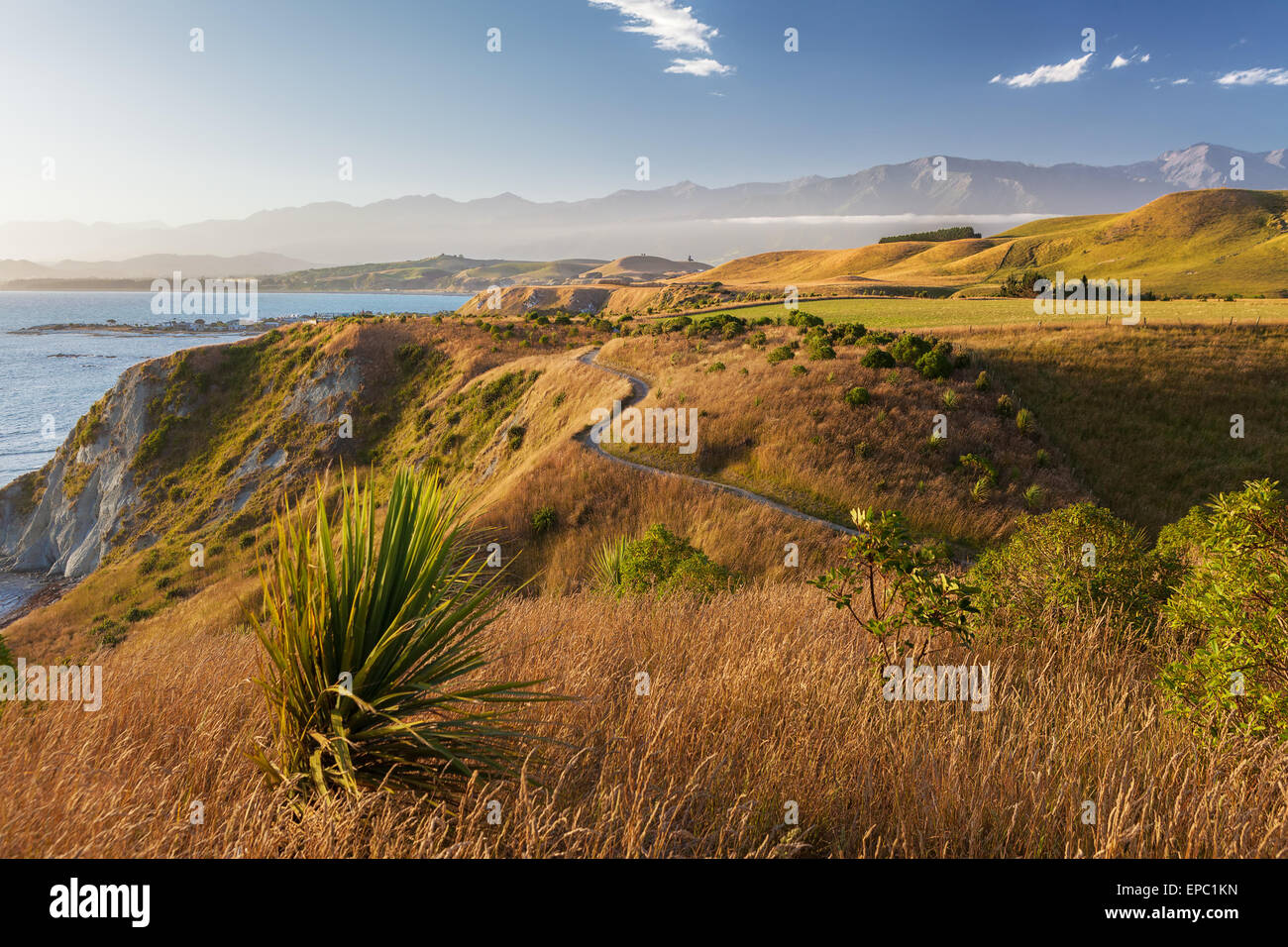 Maori kaikoura zealand hires stock photography and images Alamy