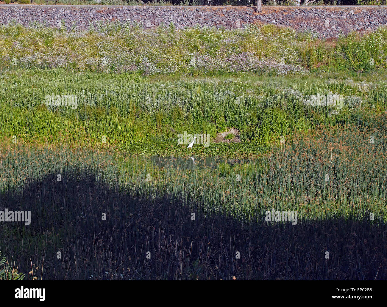 Regional park distric hires stock photography and images  Alamy