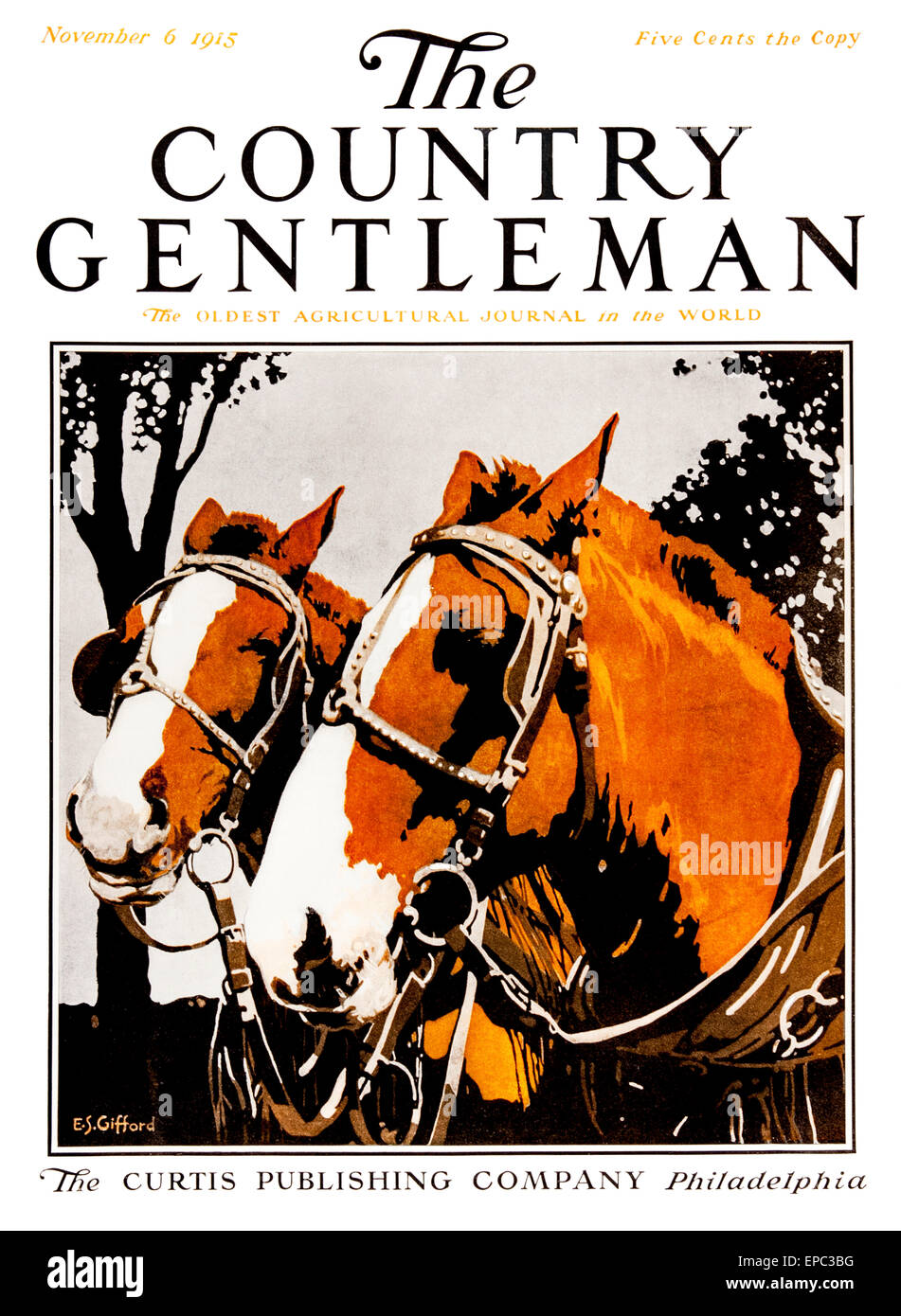 Country gentlemen. Country Gentleman. The Country Gentleman Magazine Cover. The Country Gentleman обложки журналов. The Country Gentleman July 31 1915 обложки журналов.