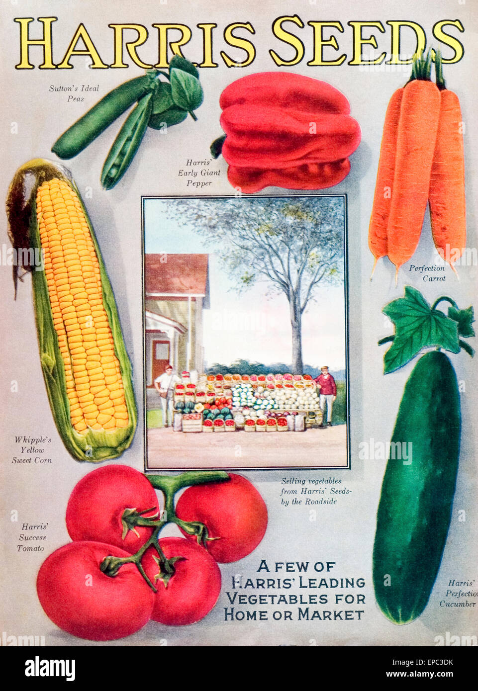 Historic Harris seeds catalog with illustration of vegetables from 20th