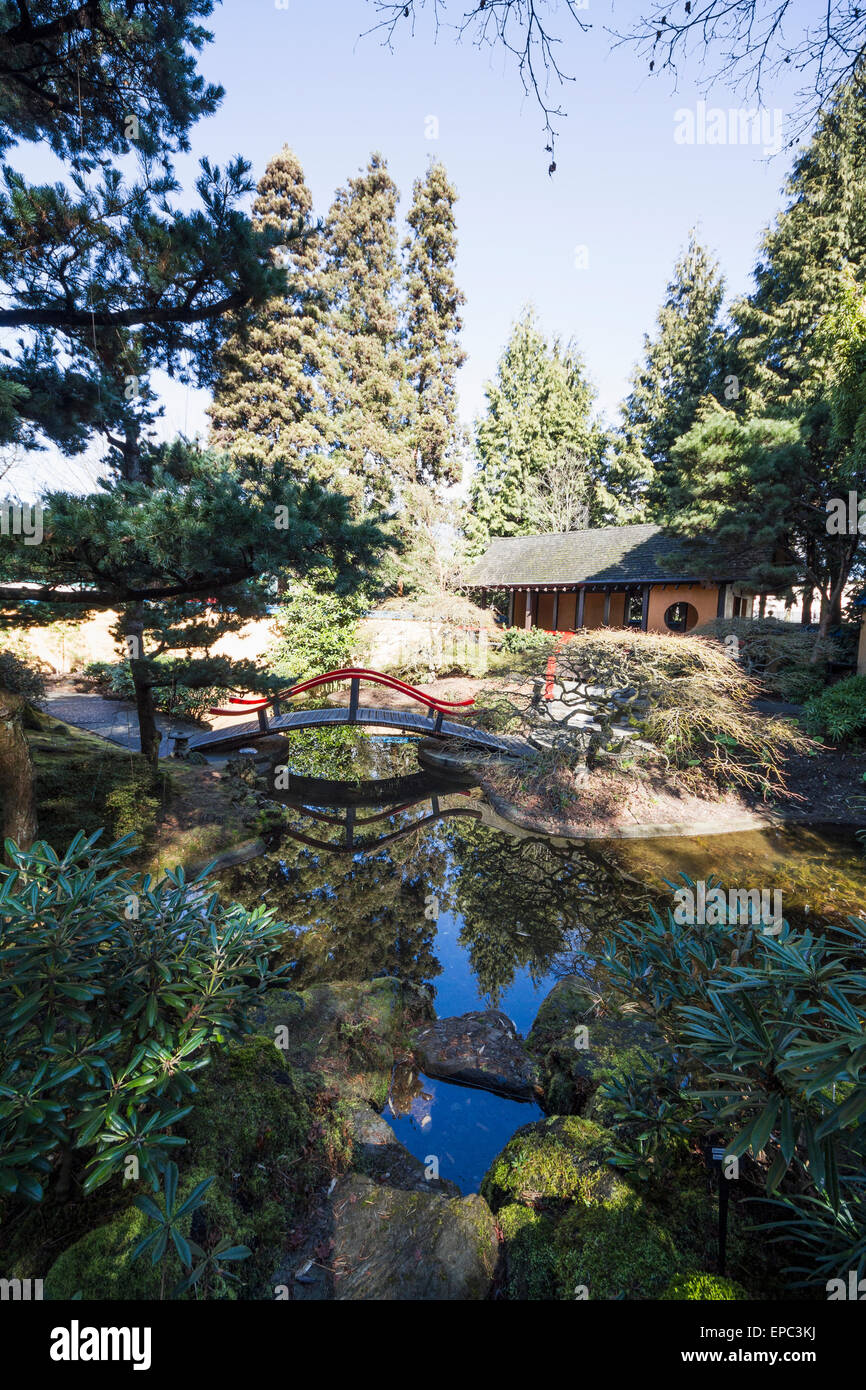 pavilion and bridge over the pond in the oriental garden of park and tilford gardens north vancouver british columbia canada - Oriental Garden pavilion and bridge over the pond in the oriental garden of park and tilford gardens north vancouver british columbia canada - Oriental Garden