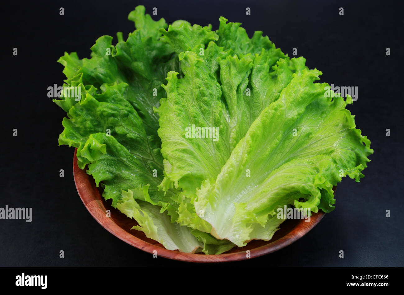 Leaf lettuce Stock Photo