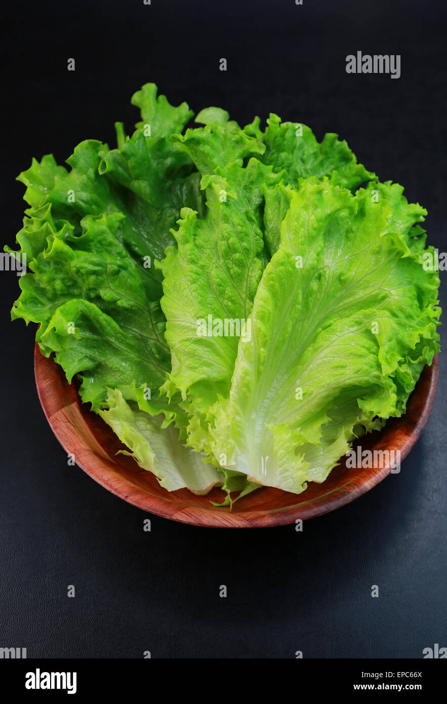 Leaf lettuce Stock Photo
