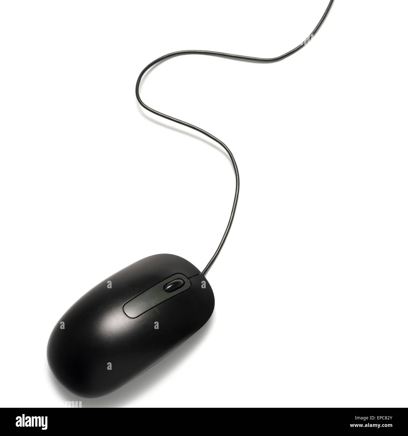 black computer mouse on a white background Stock Photo - Alamy