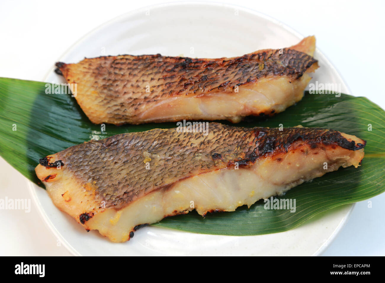 Japanese rockfish hires stock photography and images Alamy