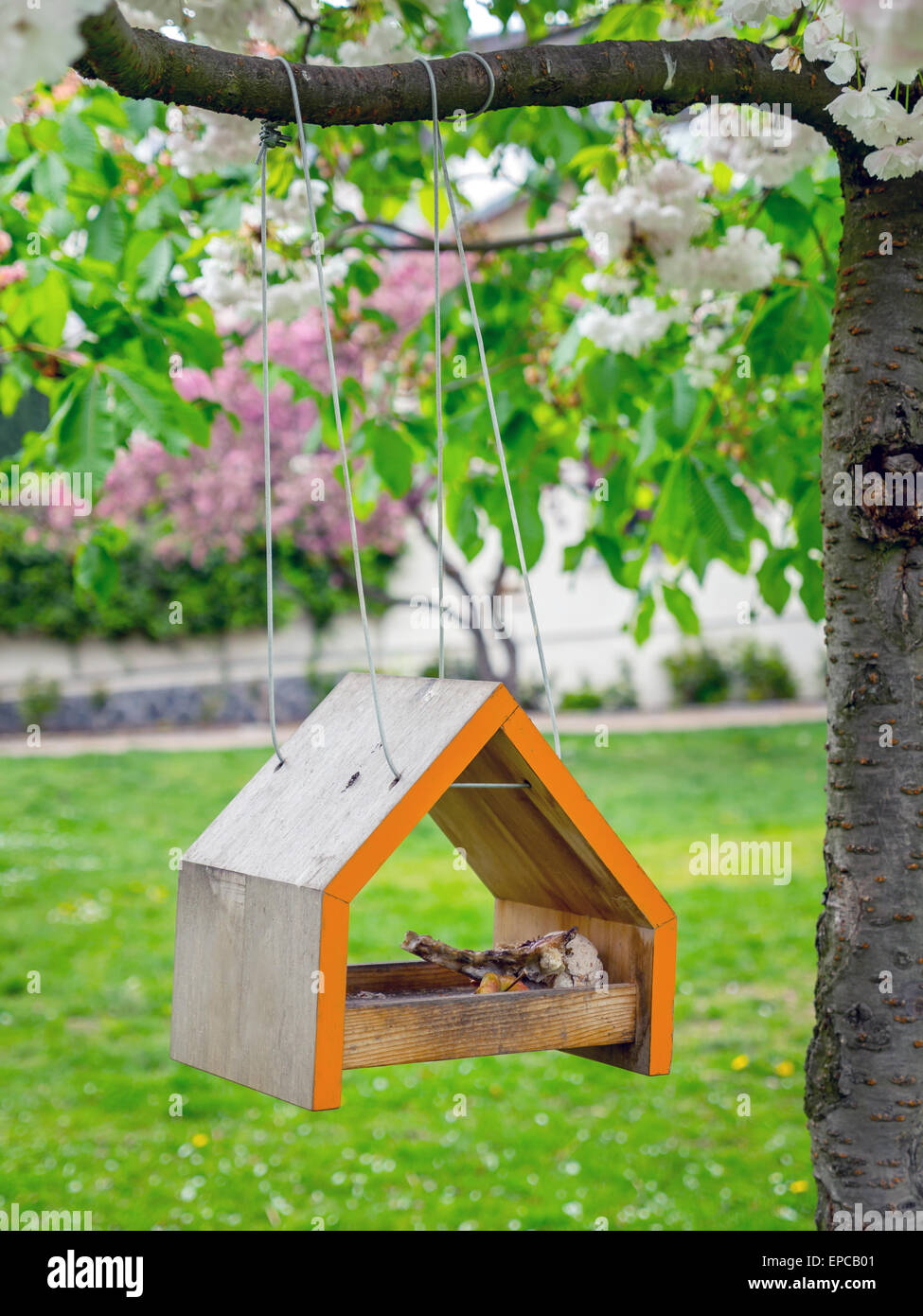 Wooden birdhouse hanging on tree branch - spring time Stock Photo