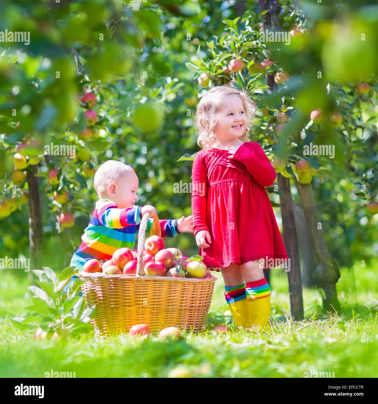 Happy little children, toddler girl and funny baby boy, brother and
