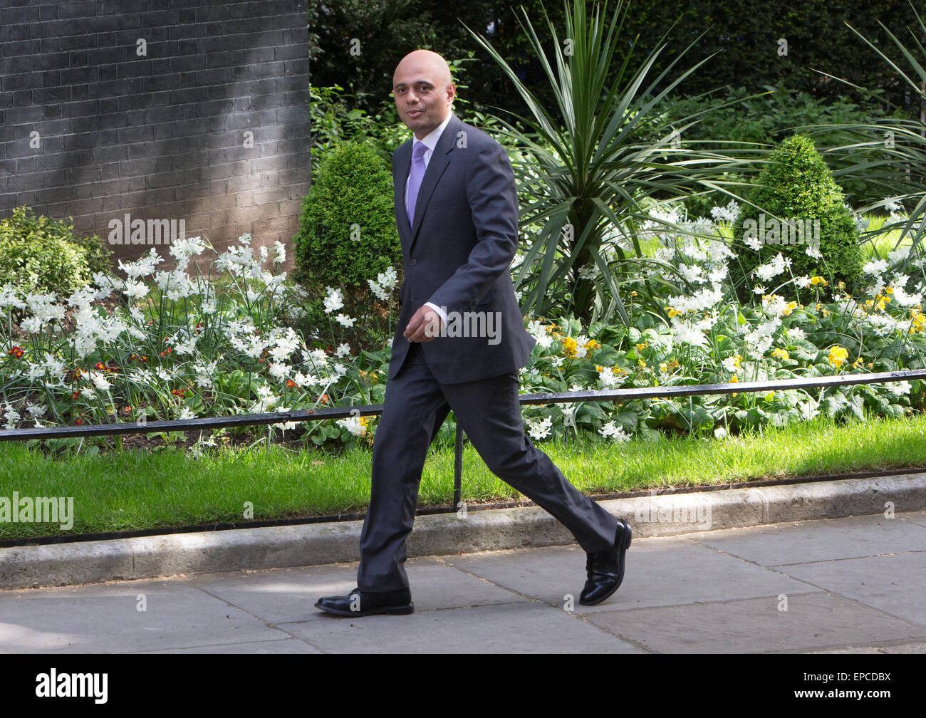 Sajid Javid,secretary of state for business Innovation and skills,arrives at Downing street for the weekly cabinet meeting Stock Photo