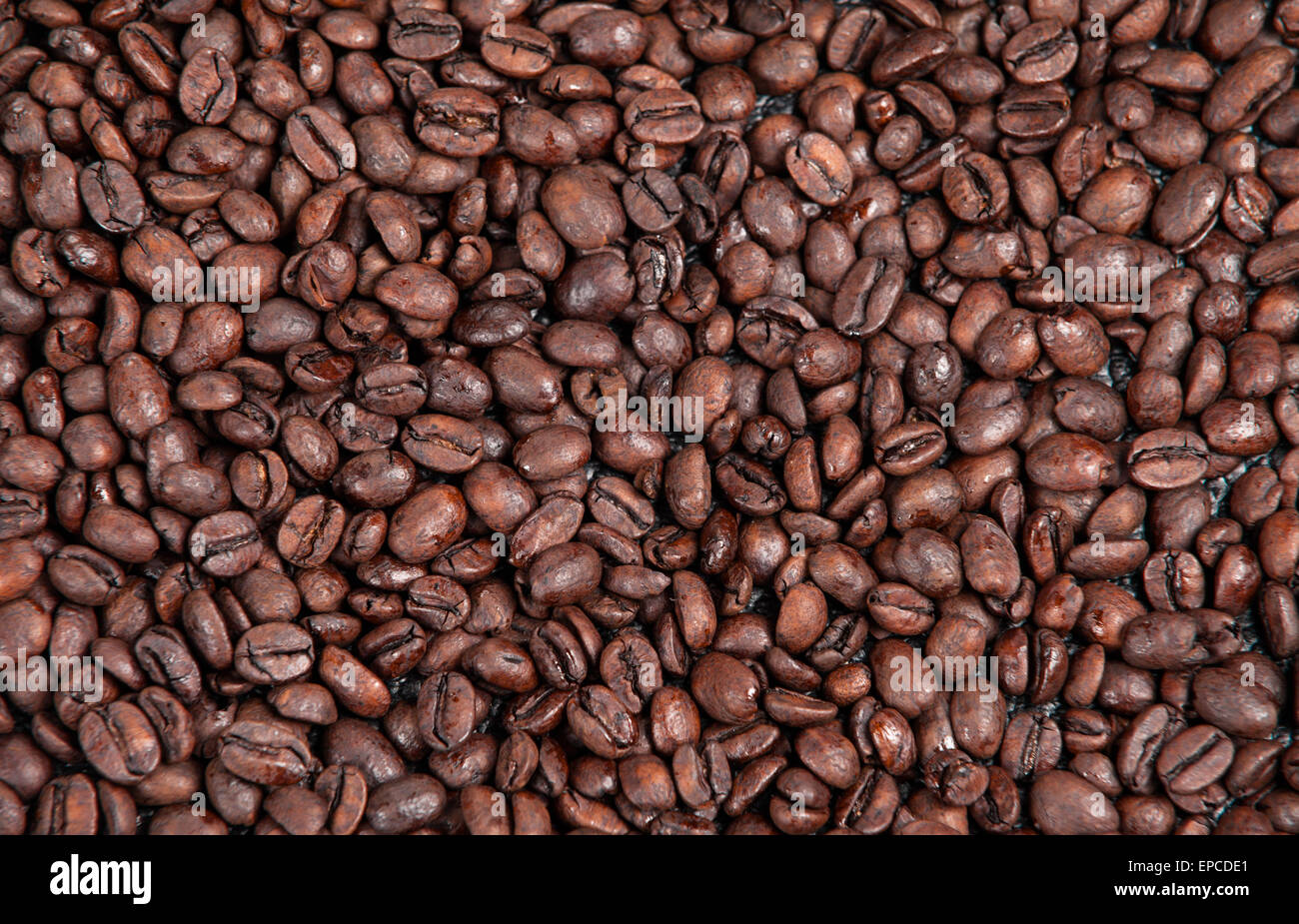 fresh coffee beans