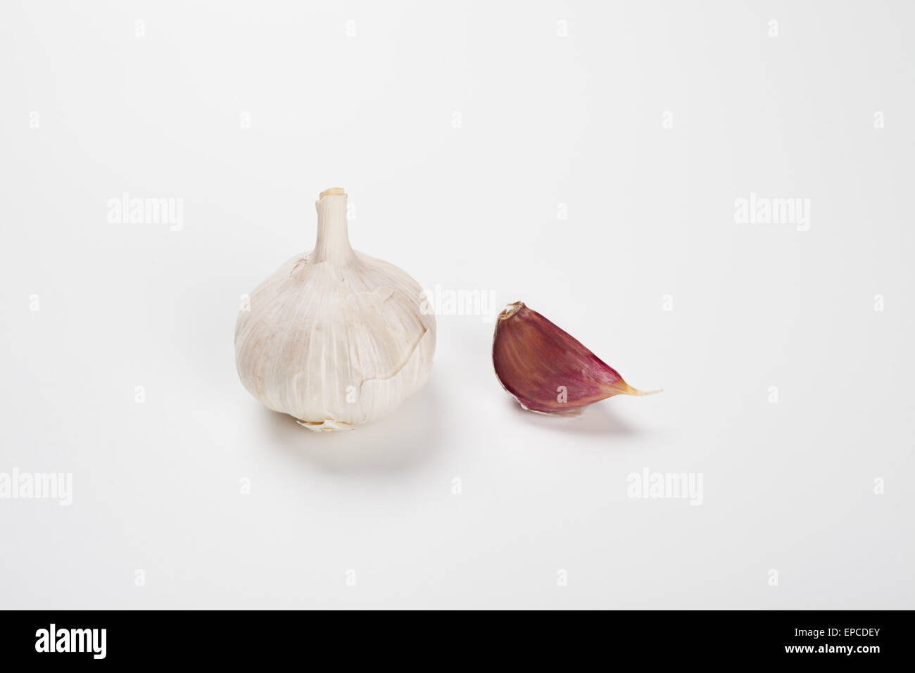 Garlic bulb and clove on a white background Stock Photo - Alamy