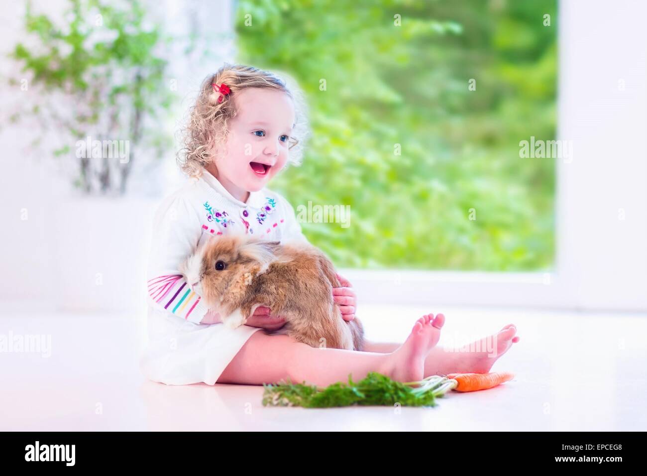 Funny hair rabbit hi-res stock photography and images - Page 9 - Alamy