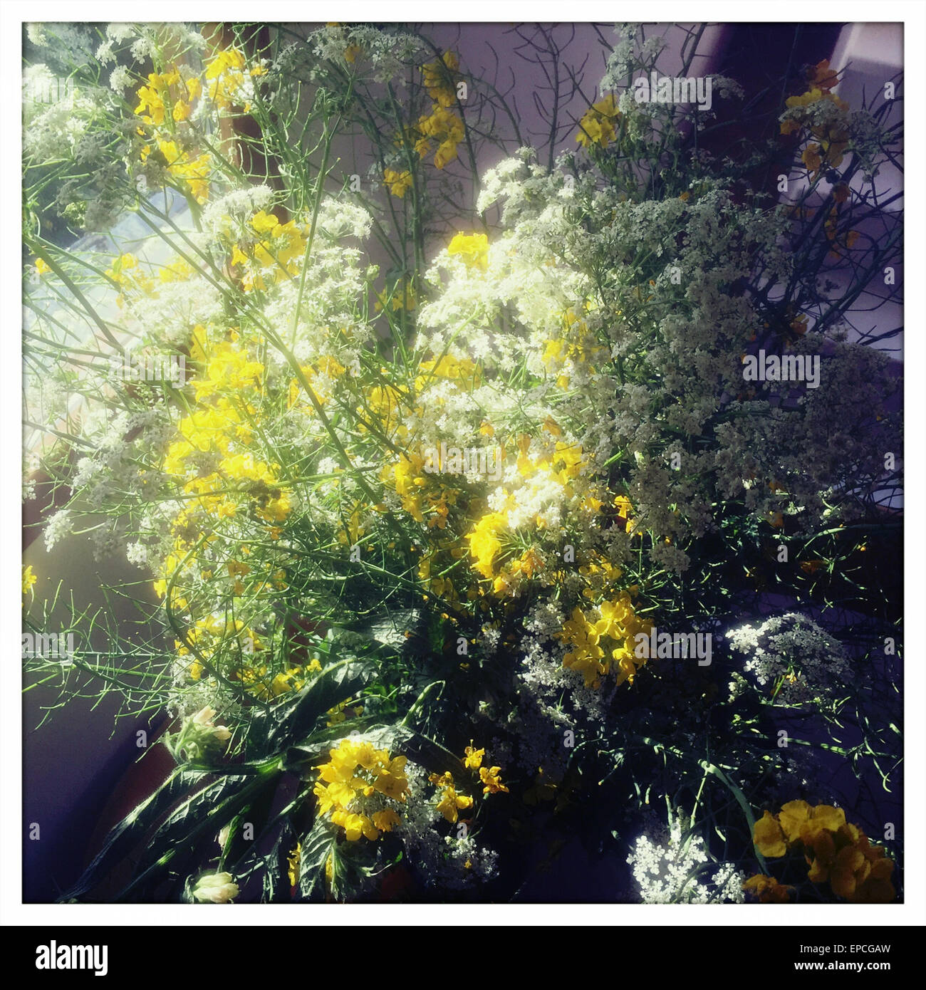 wild flower bouquet Stock Photo - Alamy