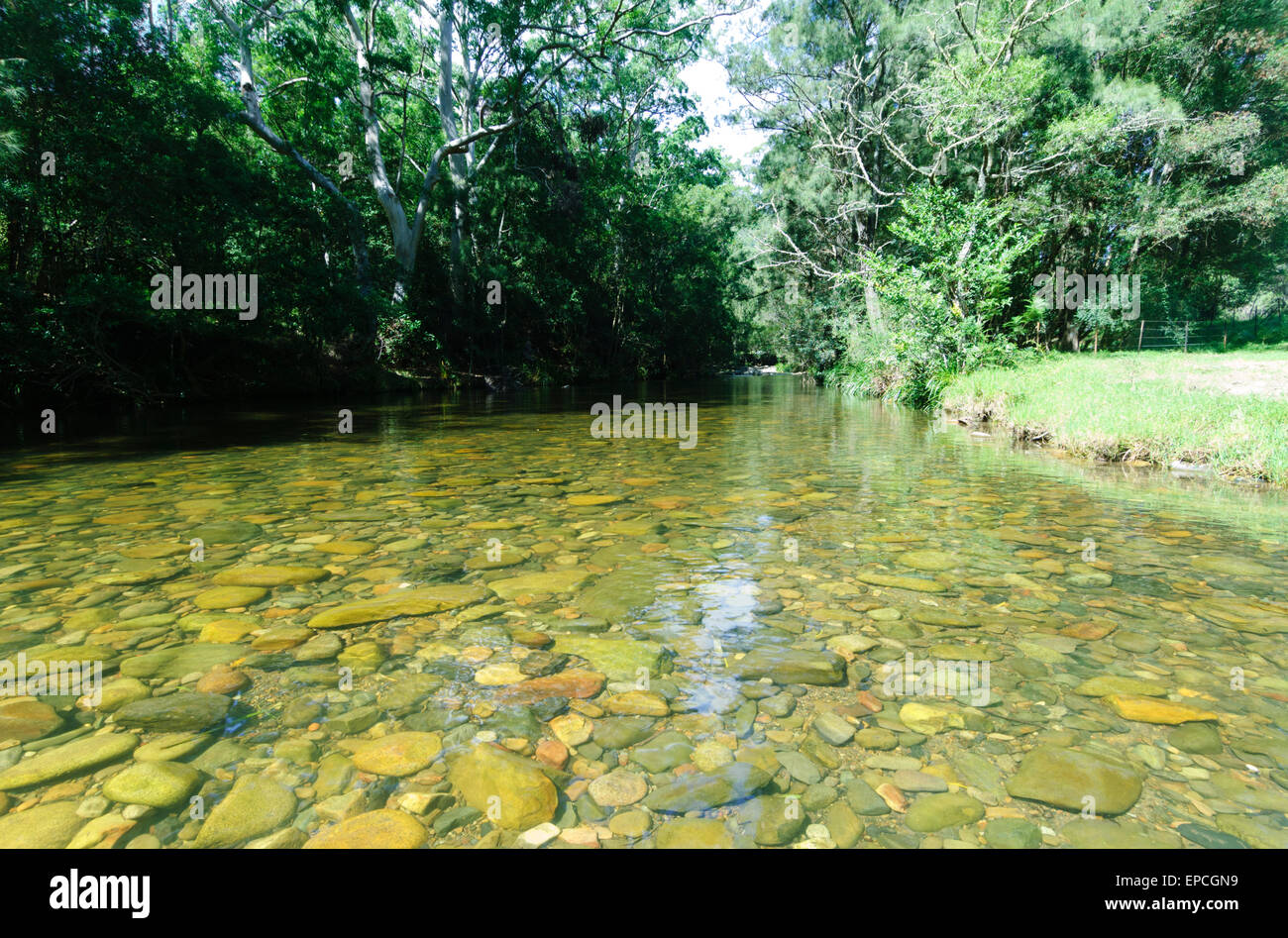 Creek, Barrington Tops National Park, New South Wales, Australia Stock
