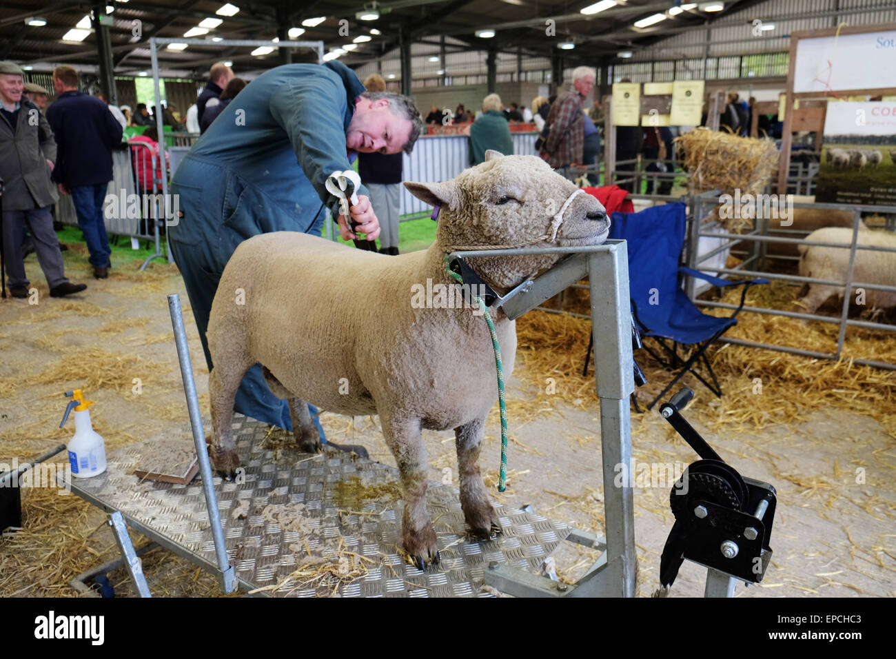 From builth wells hires stock photography and images Alamy