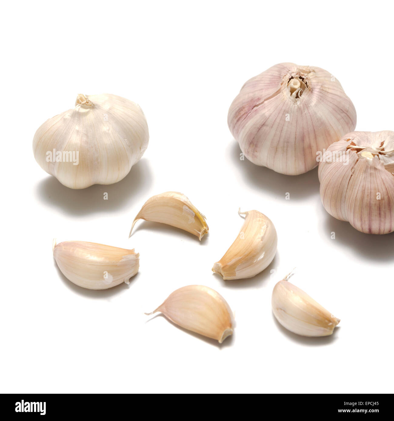 fresh garlic isolated on a white background Stock Photo - Alamy