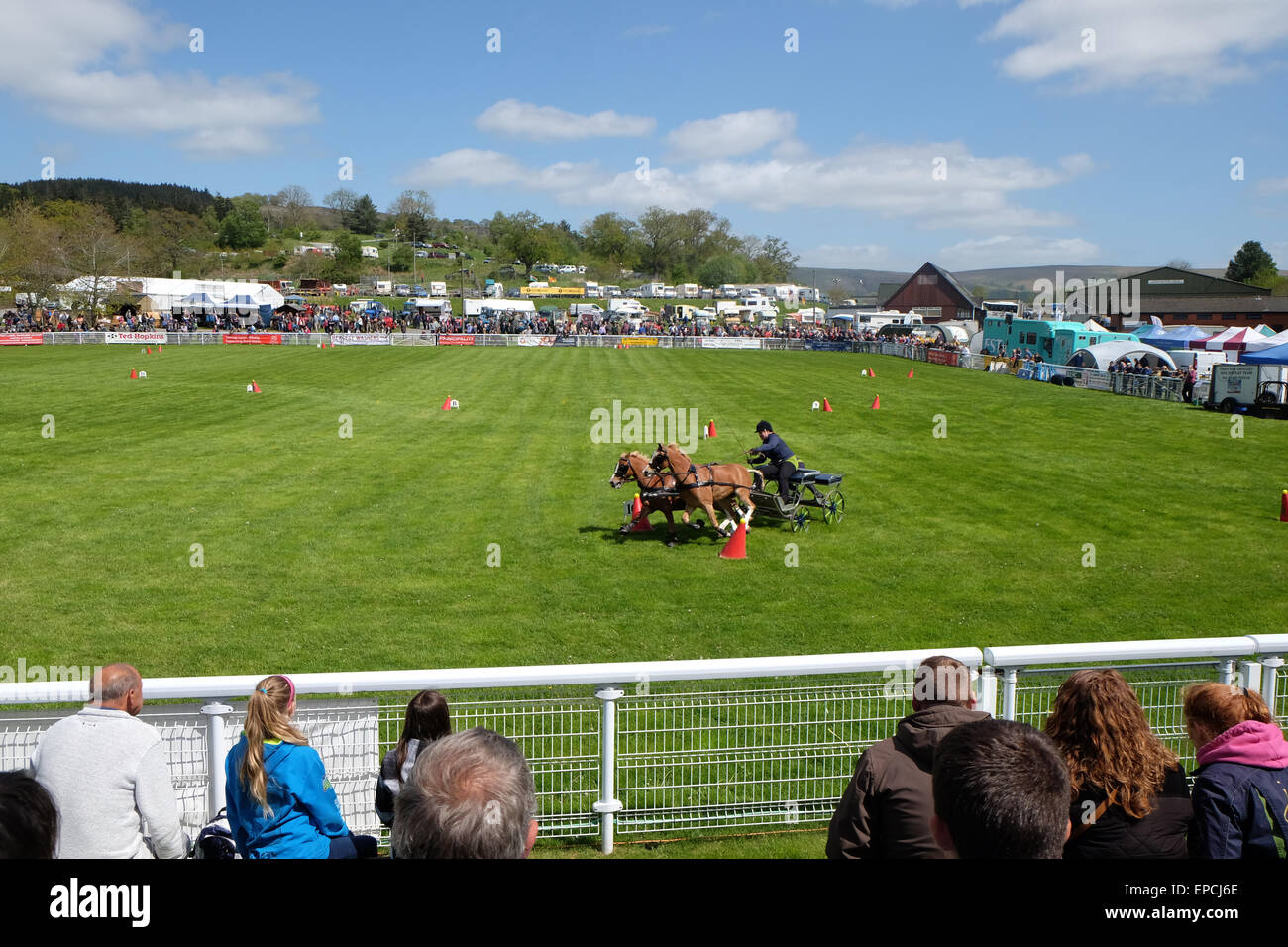 Royal Welsh Spring Festival Builth Wells, Powys, Wales, UK May, 2015. Day 1 of the festival included the preliminary rounds of the Scurry Driving competition with teams of two racing around the outdoor showground in the afternoon sunshine. Stock Photo