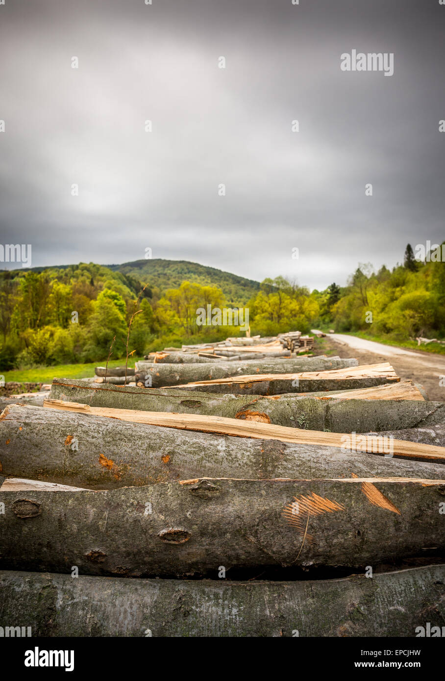 Rainy weather over rural landscape with wooden logs in the foreground Stock Photo