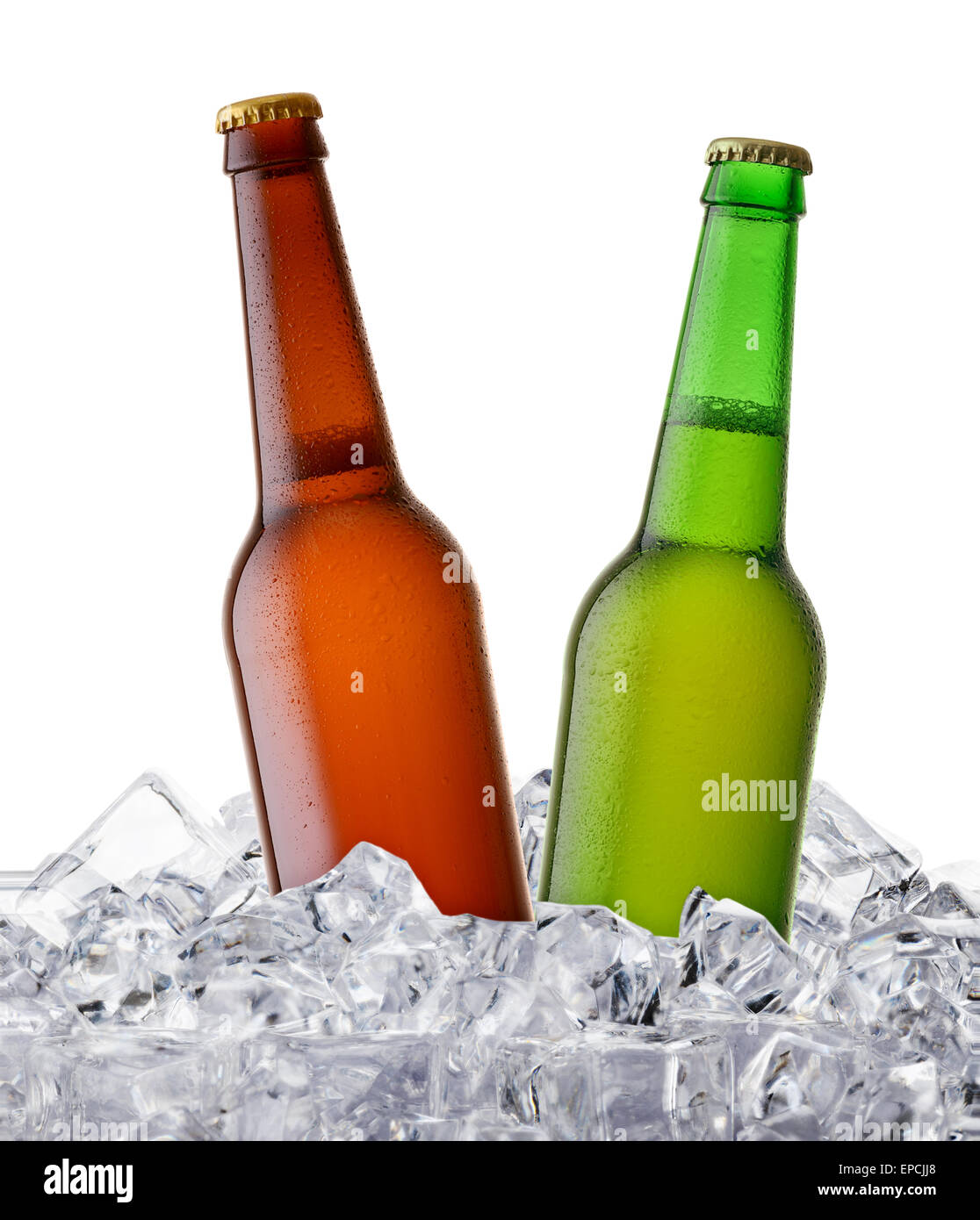 two beer bottles getting cool in ice cubes. Isolated on a white