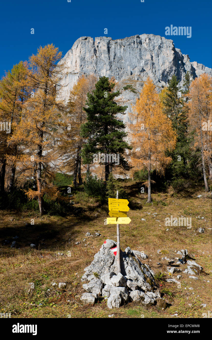 Signposts Rock Signposts for trails hi-res stock photography and images - Alamy