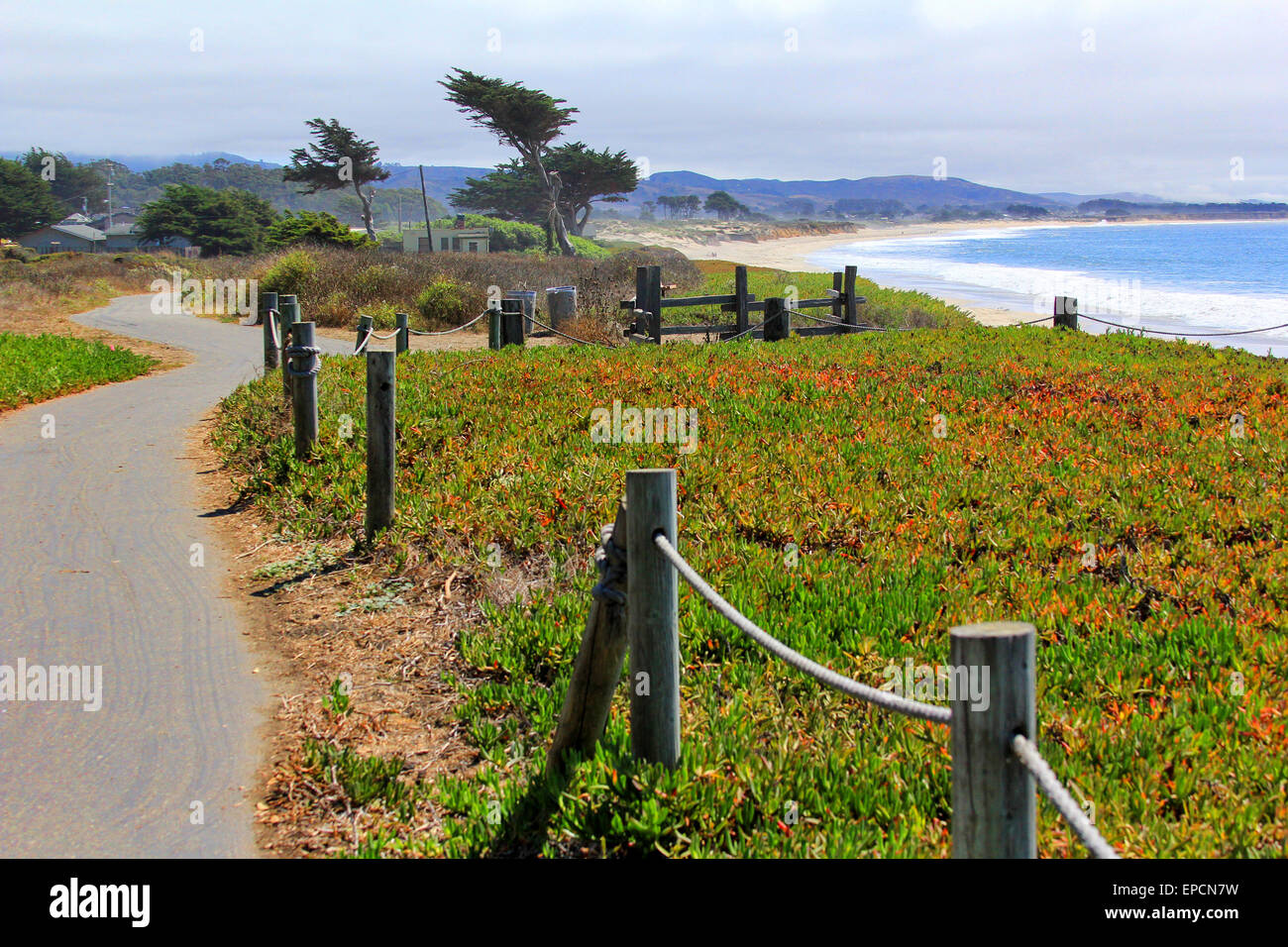 Coast Half Moon Bay. California, USA Stock Photo