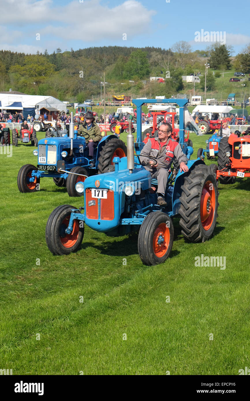 Royal Welsh Spring Festival Builth Wells, Powys, Wales, UK May, 2015. Display arena parade of vintage tractors and vehicles. Over 80 vehicles took part in the procession around the display arena as afternoon sunshine shone on the rural festival showground at Builth Wells. Stock Photo