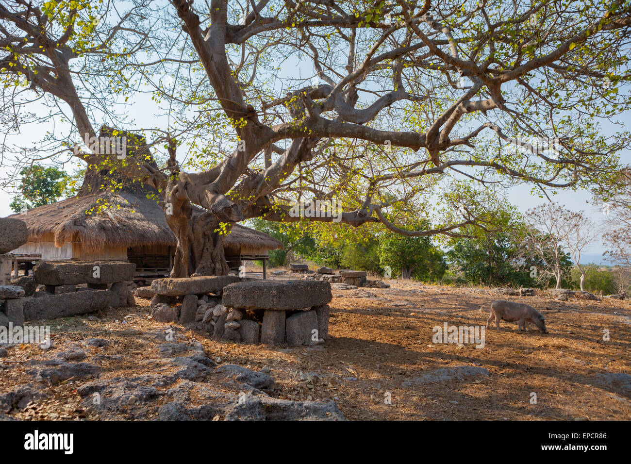 Landscape of traditional village of Prailiang, which is built on a ...