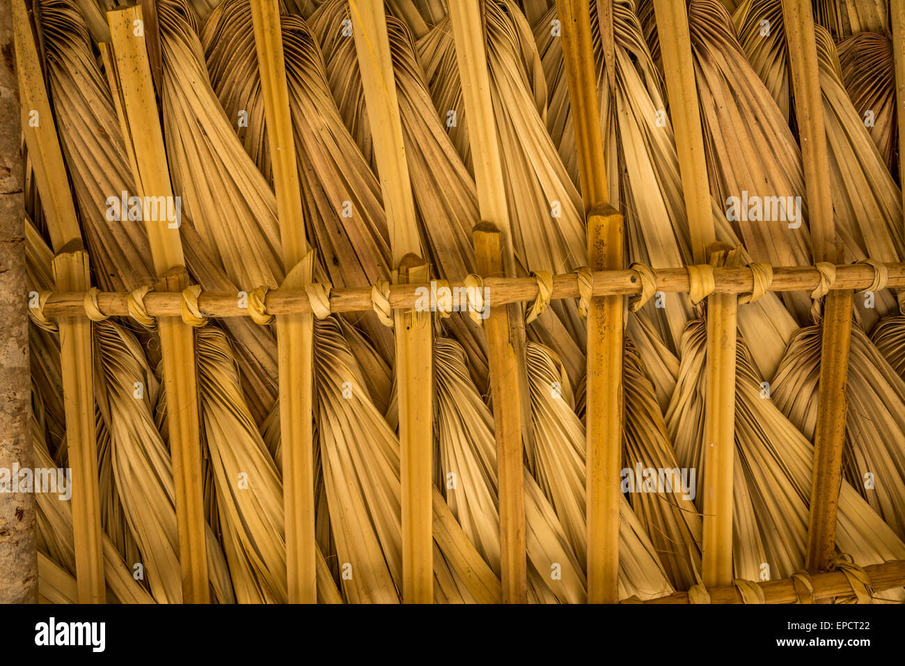 Palm thatched Palapa in southern Guatemala Stock Photo