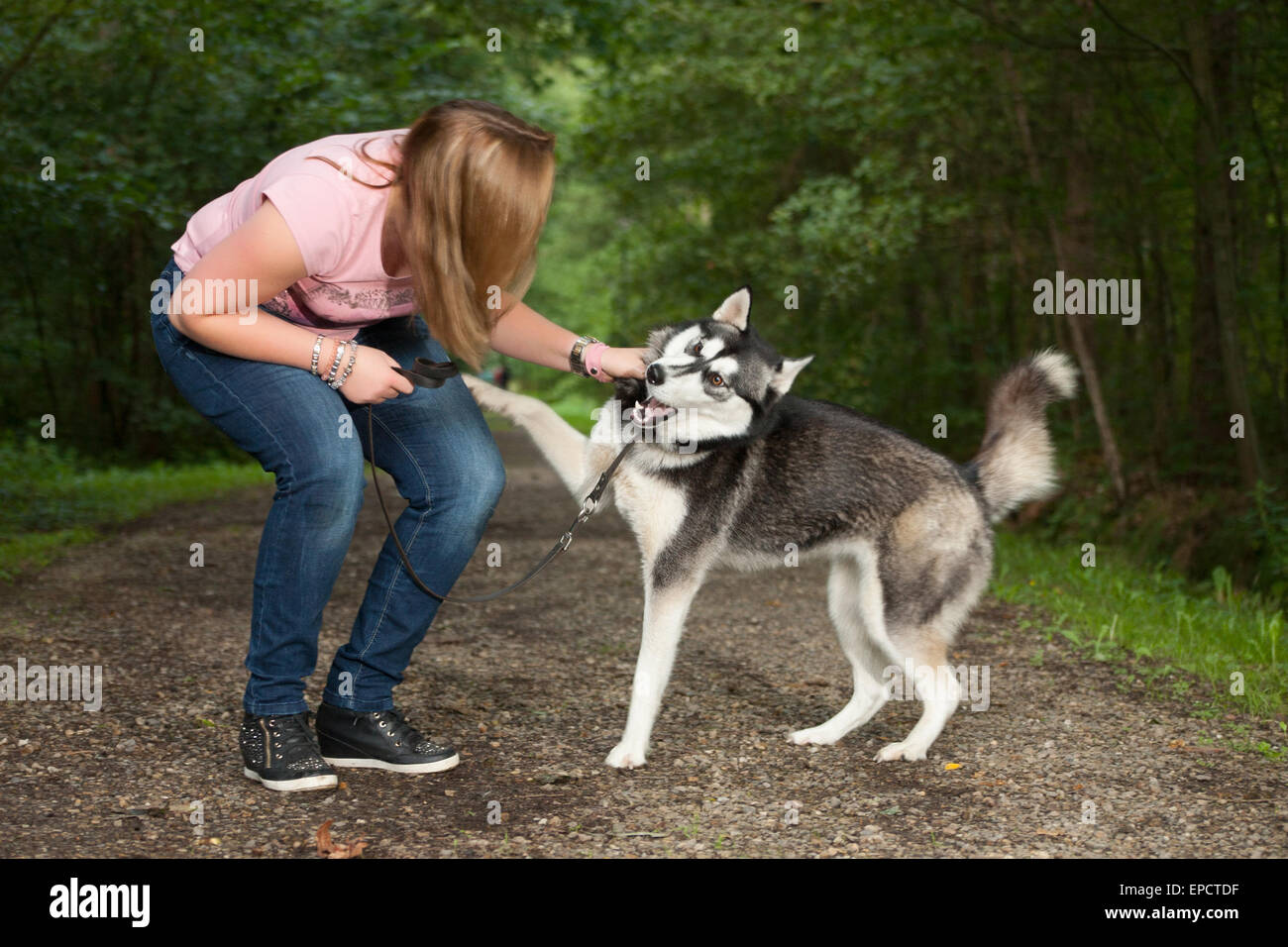 Young woman and her husky in the forest Stock Photo