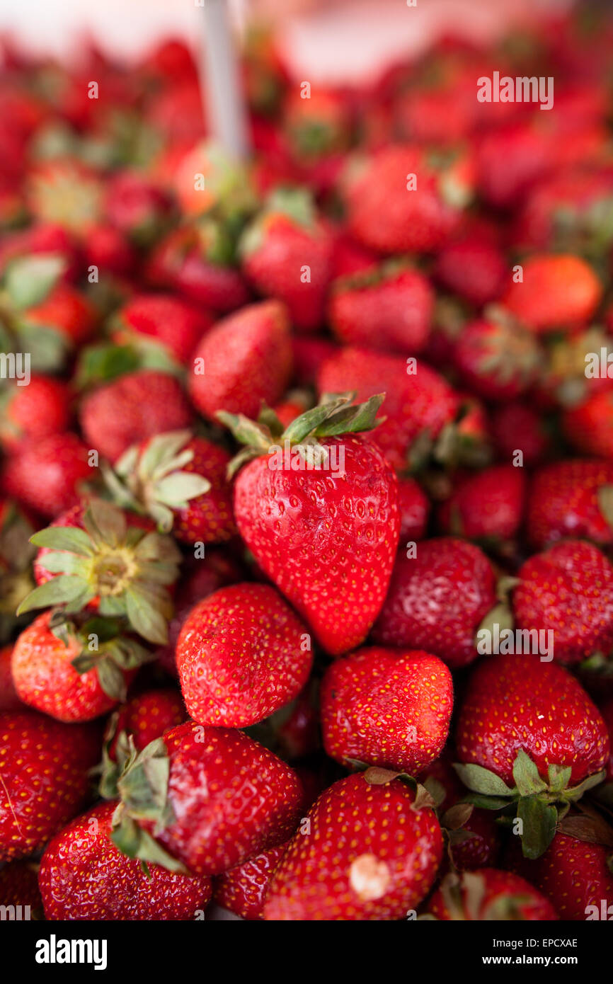 Fresh, ripe and delicious strawberries Stock Photo