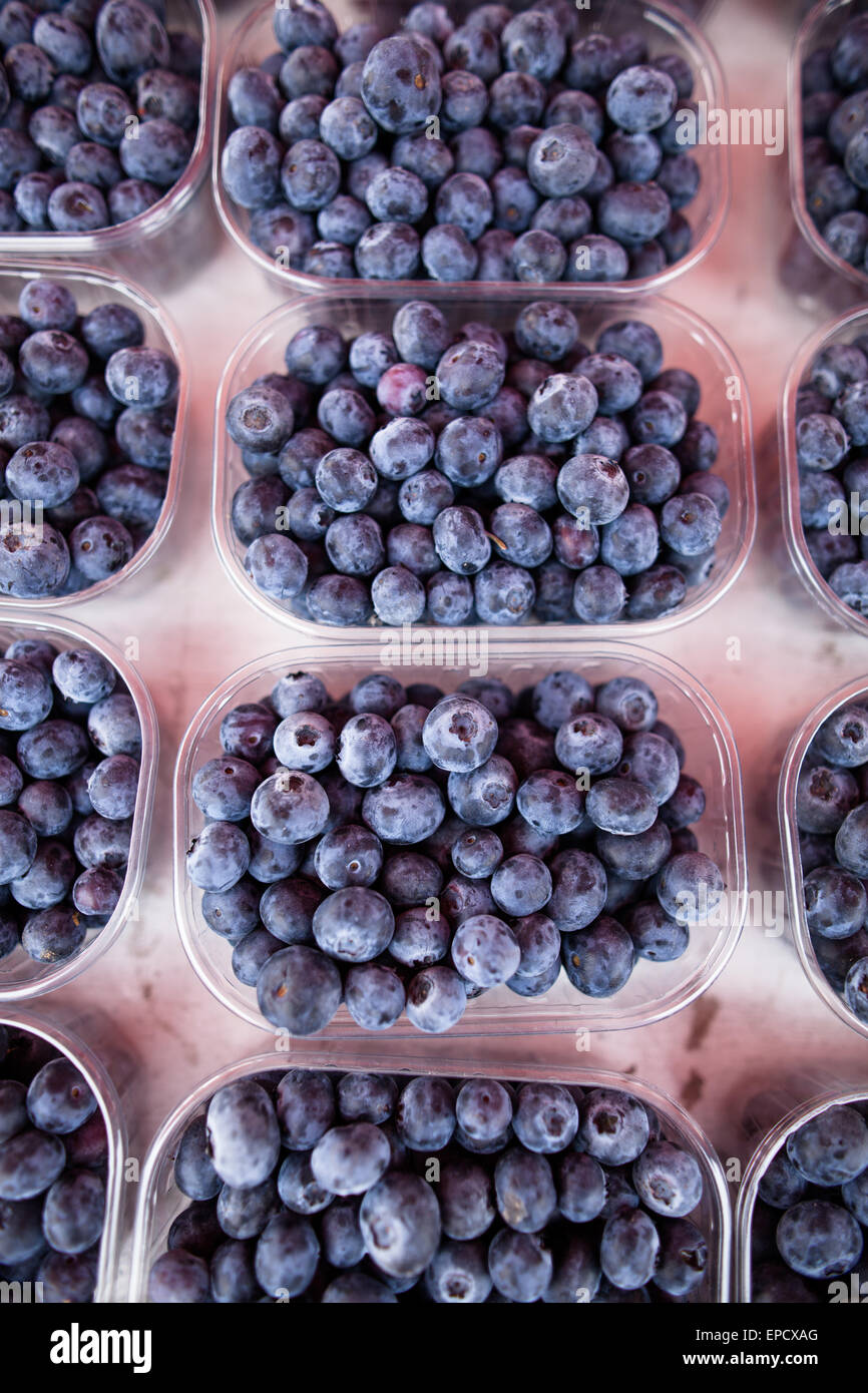 Fresh, ripe and delicious blueberries Stock Photo