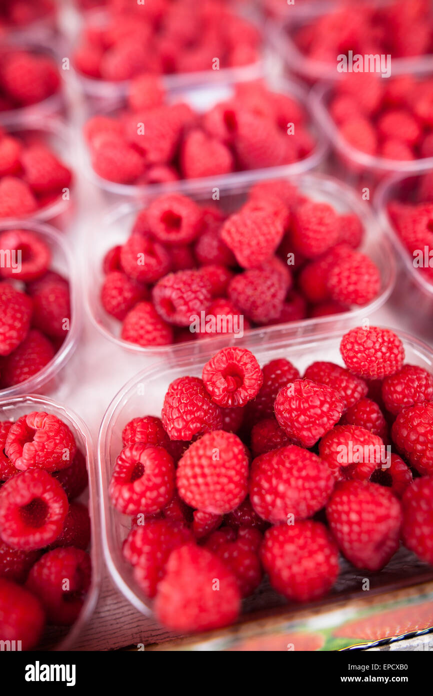 Ripe, fresh and delicious raspberries Stock Photo