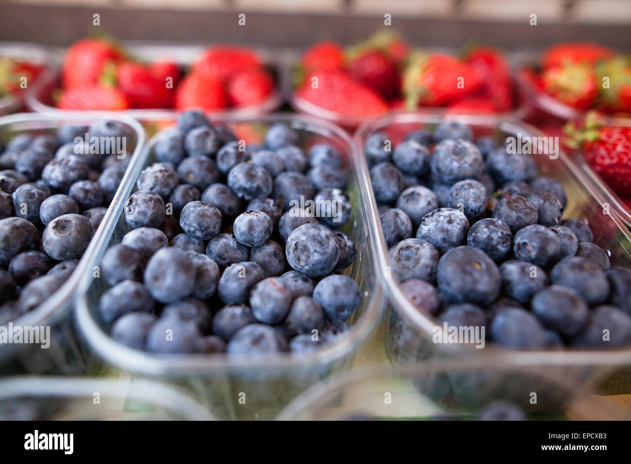 Delicious, ripe and fresh blueberries and strawberries Stock Photo