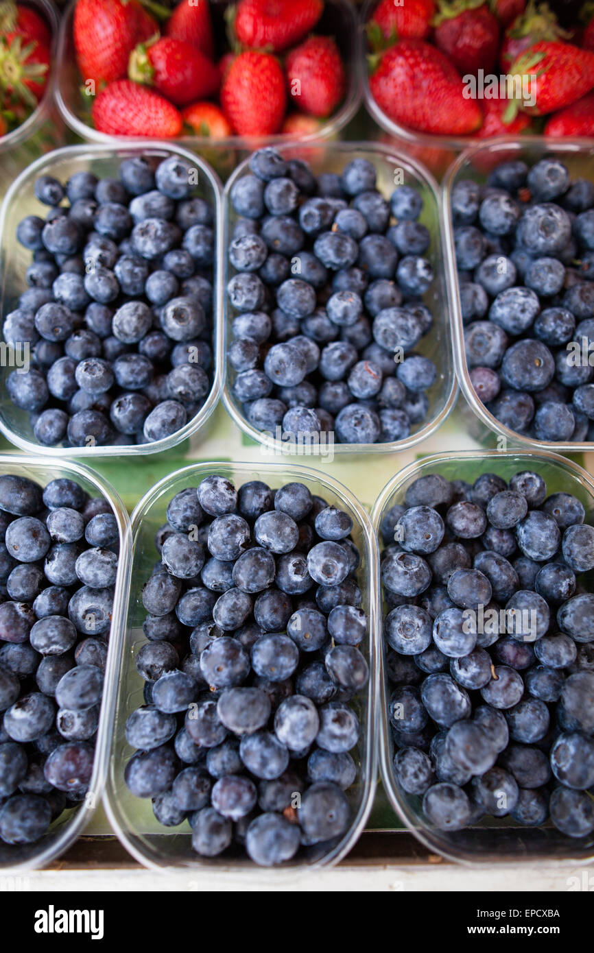 Ripe, fresh and delicious blueberries and strawberries Stock Photo
