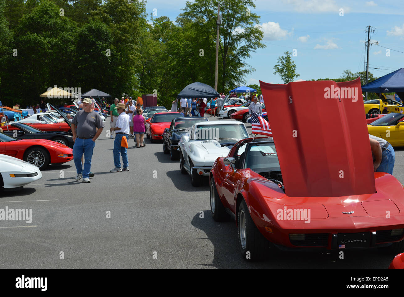 A local Corvette Car Show with all vintages of Corvettes. Stock Photo