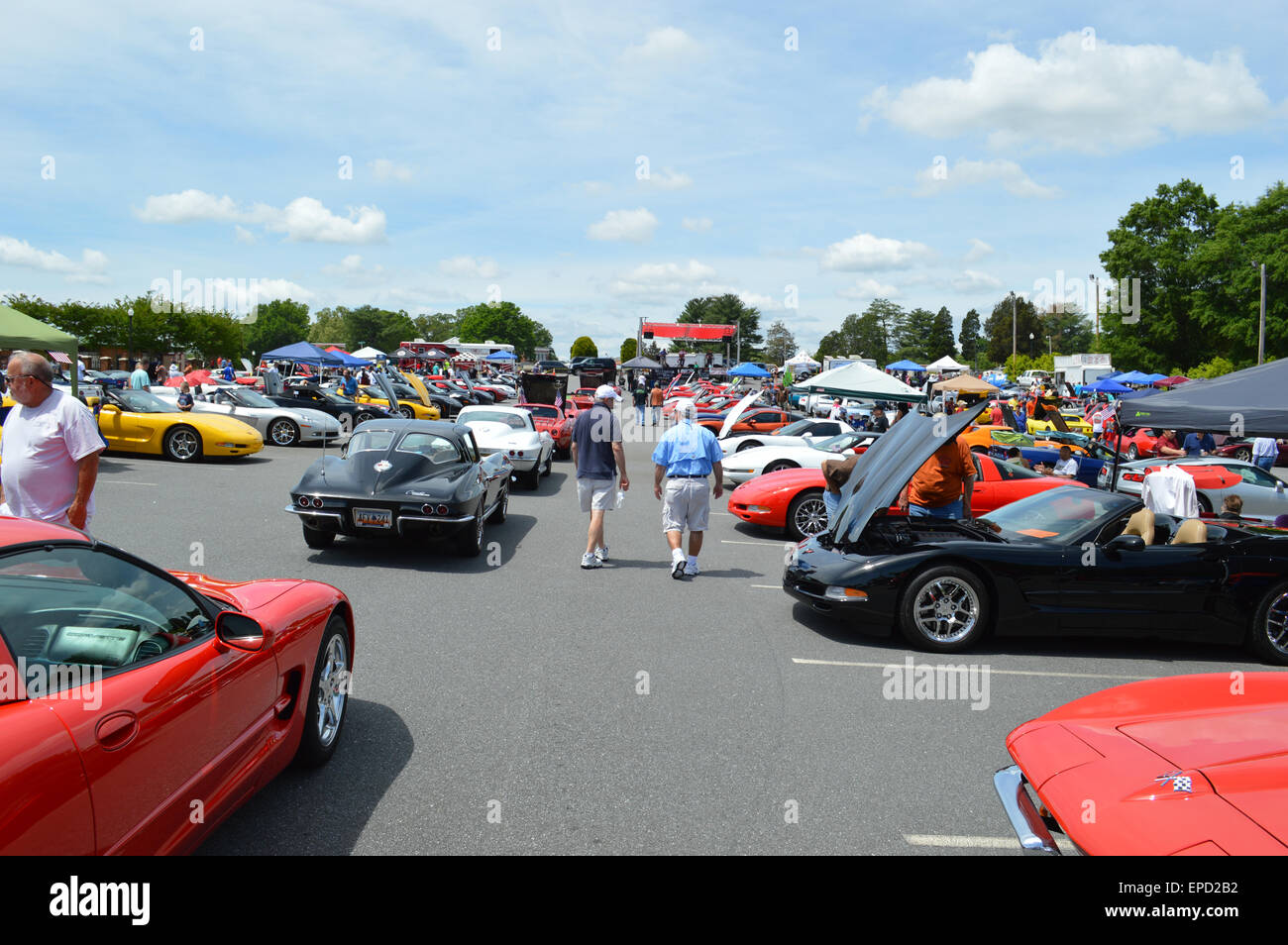 A local Corvette Car Show with all vintages of Corvettes. Stock Photo