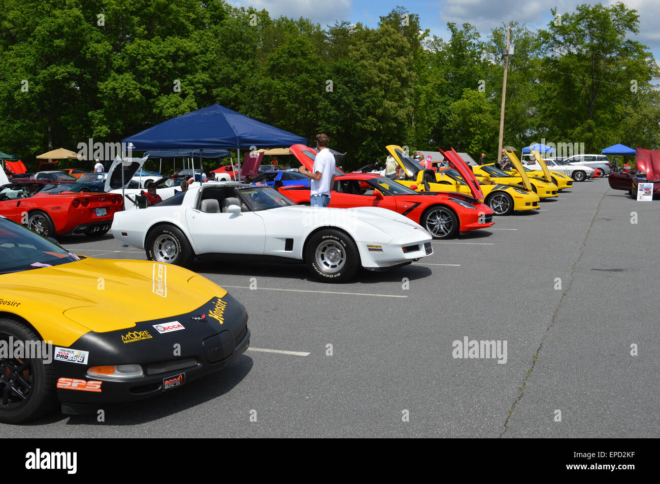 A Corvette Car Show showing all vintages of Corvettes. Stock Photo