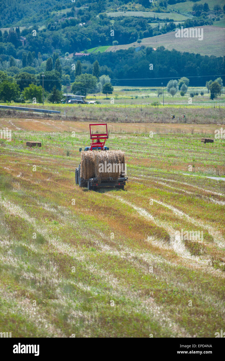 Tractor and hay bales in a field, Gubbio, Umbria, Italy Stock Photo - Alamy