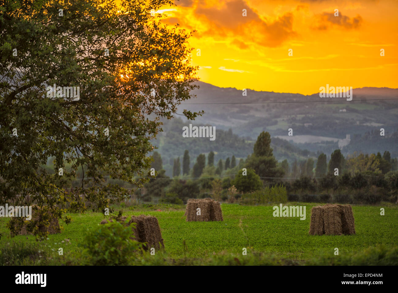 Hay bales in the meadows at sunset,  Gubbio, Umbria, Italy Stock Photo