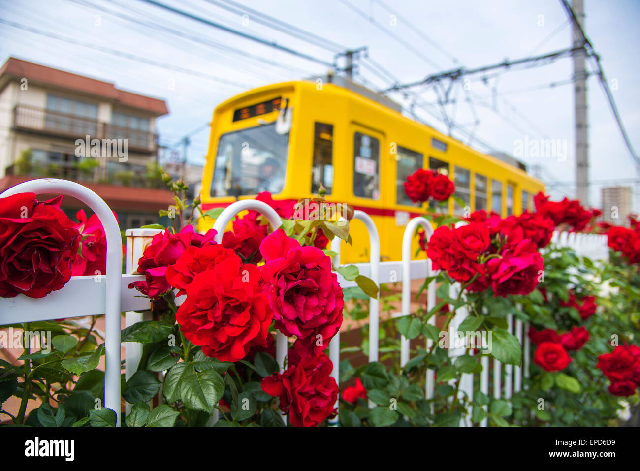 Toden Arakawa Line, near ArakawaShakomae Station,ArakawaKu,Tokyo