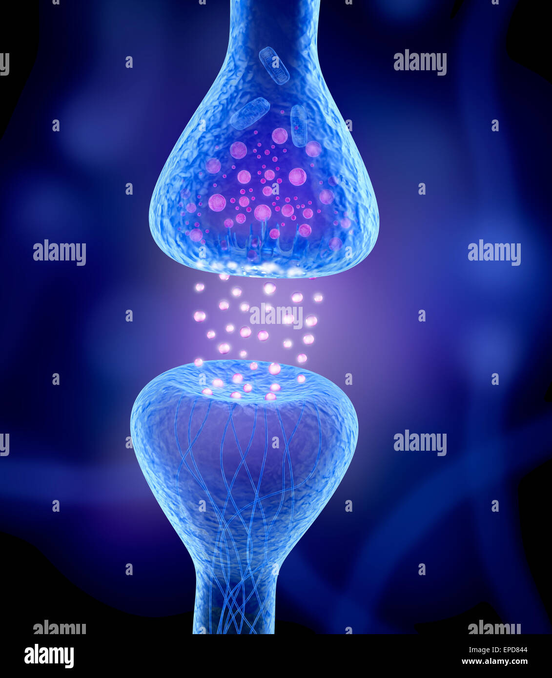 Active receptor isolated on blue Stock Photo