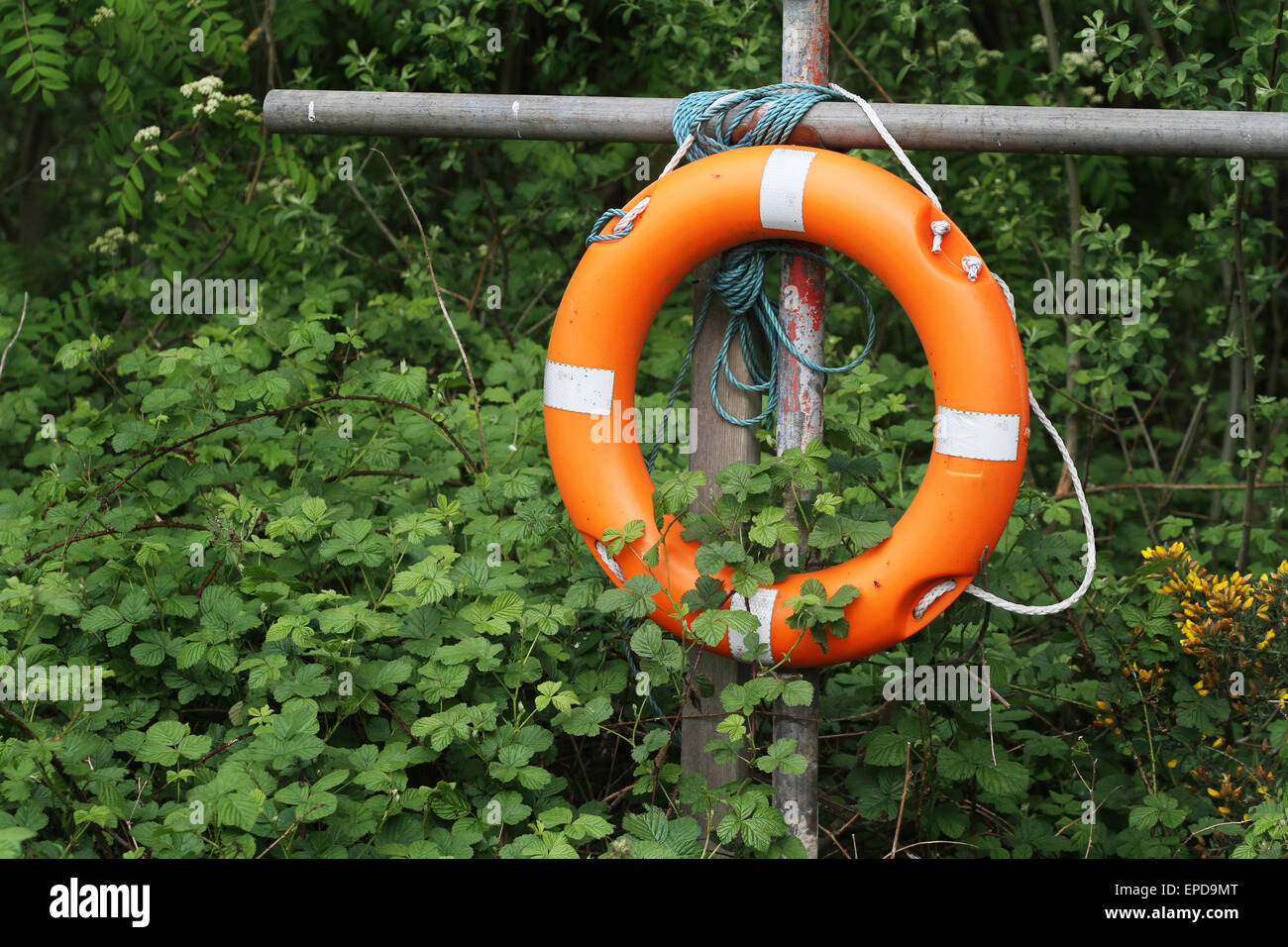 Basic life saving gear at commercial fishing lake. Stock Photo