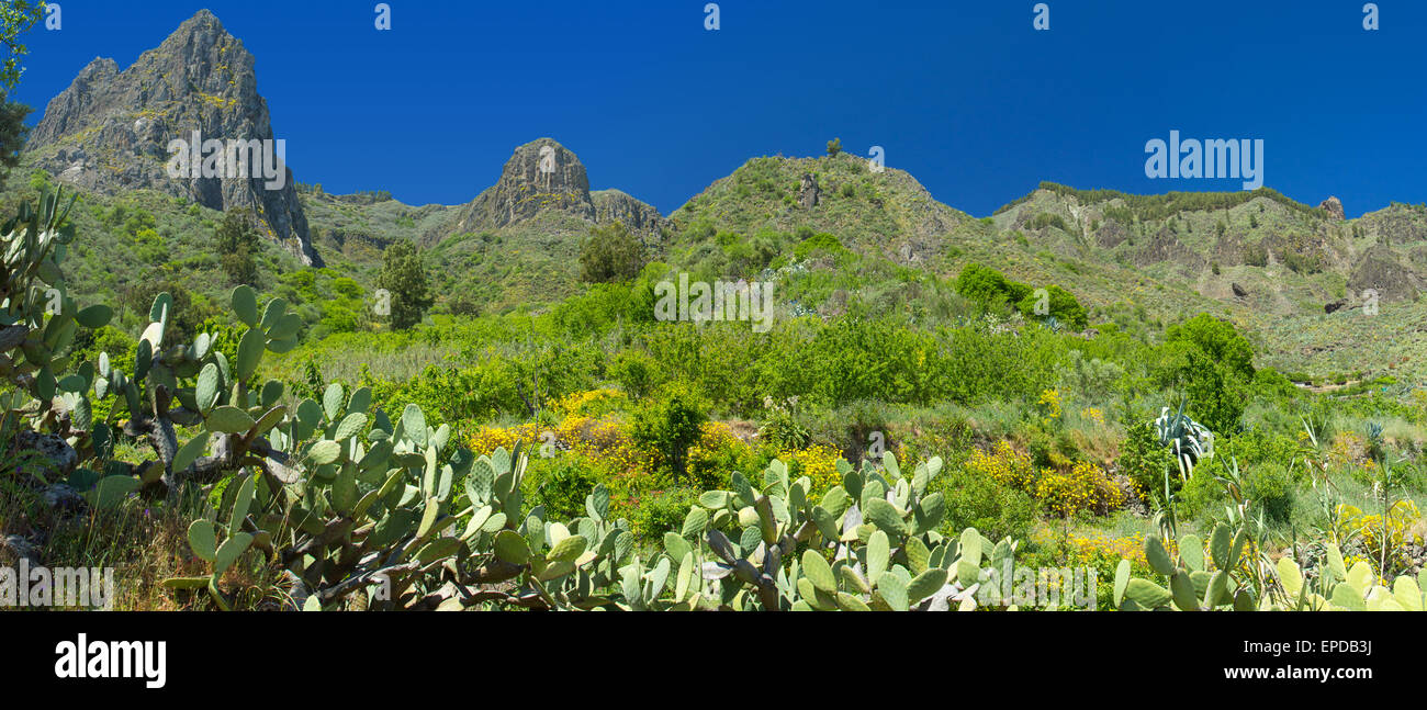 Gran Canaria, Valsequillo municipality, view towards volcanic plugs