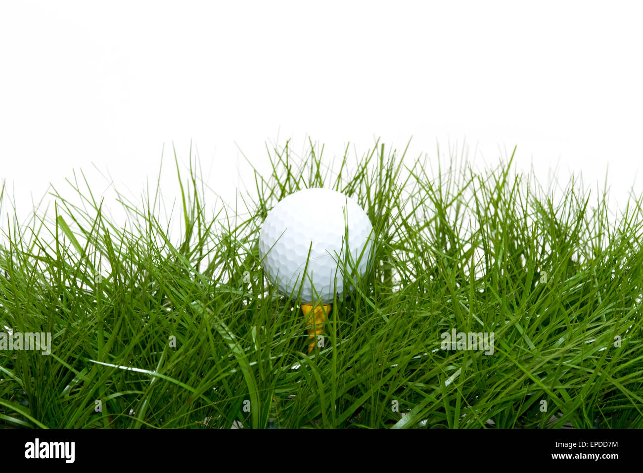 golf ball in the rough Stock Photo Alamy