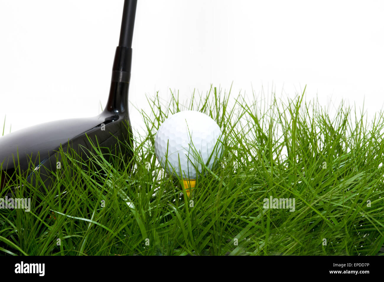 golf ball in the rough Stock Photo Alamy