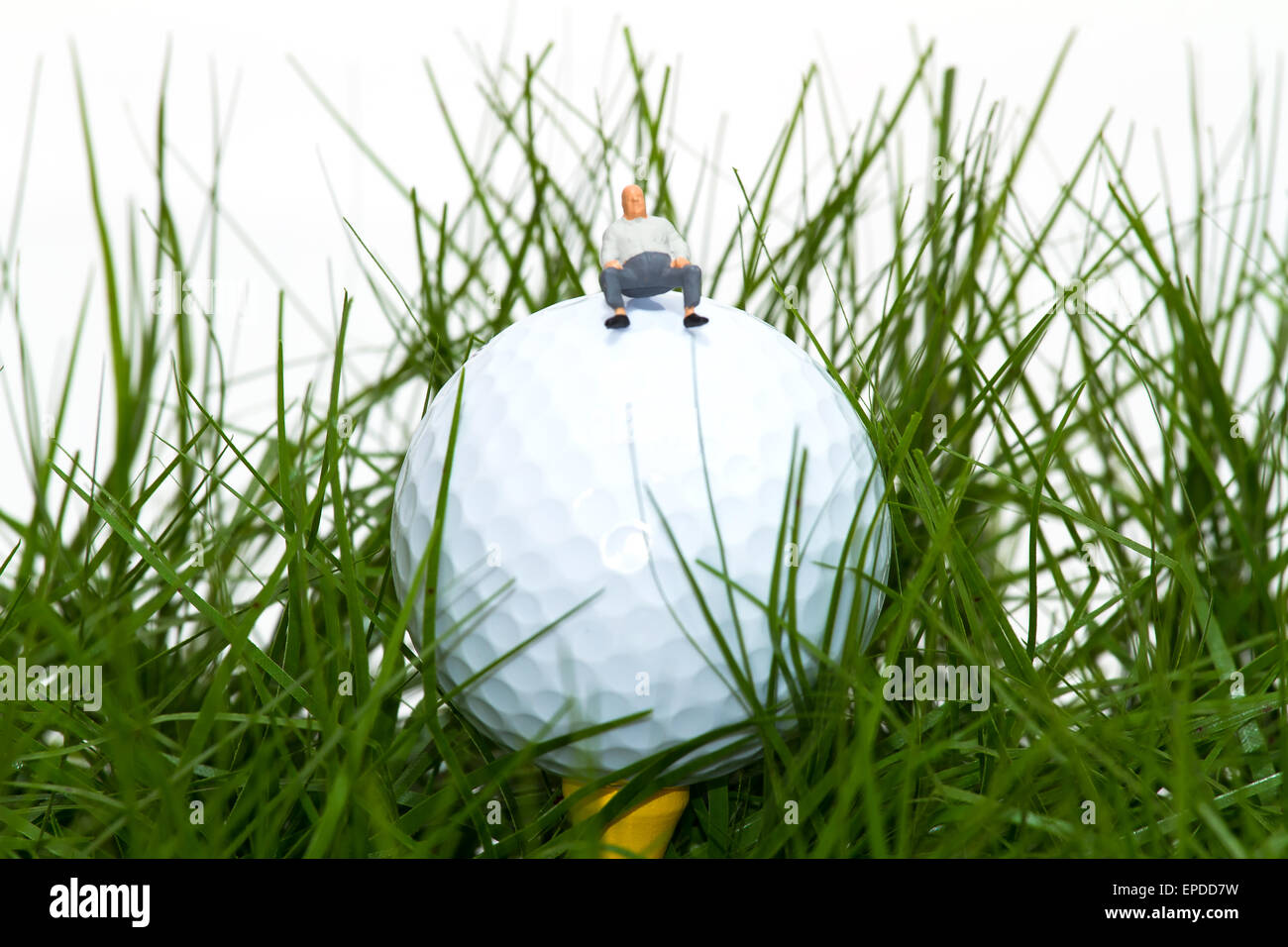 golf ball in the rough Stock Photo Alamy