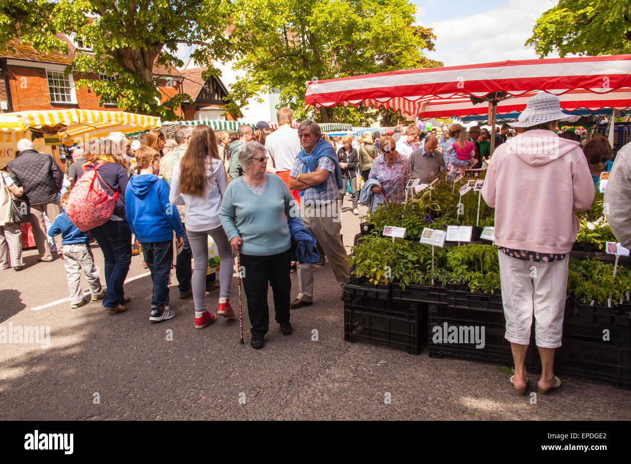 Alresford watercress festival, Broad Street, New Alresford, Hampshire