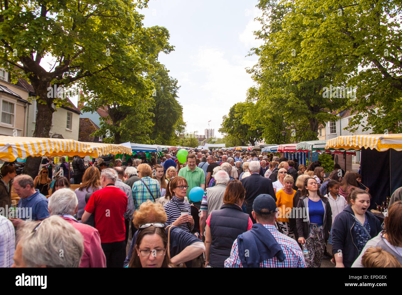 Alresford watercress festival, Broad Street, New Alresford, Hampshire, England, United Kingdom